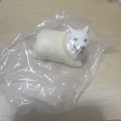 アニマルアトラクション　こぎさんぽ　コーギー　ホワイト