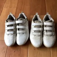 Item thumbnail for item 5af68961-1bb0-4e4c-96ef-e18278e310a6