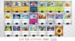 ポケモンカード構築済みデッキ　シロナのガブリアスex 大会入賞構築　最新構築
