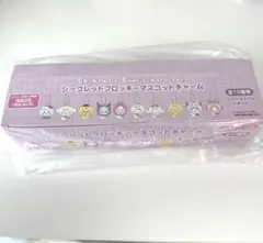 ちいかわ サンリオ シークレットフロッキーマスコットチャーム10種　コンプ