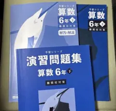 ❣️ふなっC様　ご専用❣️ 予習シリーズ 算数 6年 下 演習問題集