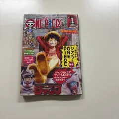 ワンピースマガジン20号 ワンピースカード 付録付き