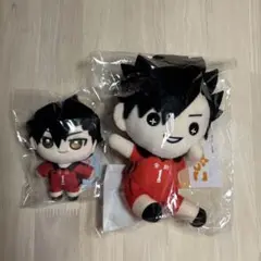 ハイキュー‼︎音駒高校黒尾鉄朗　たすっこ　ぬいパル