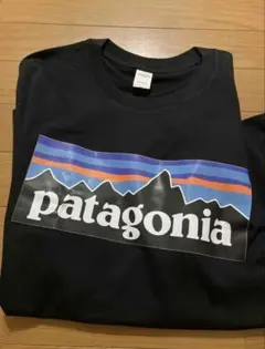 patagonia ロングTシャツ