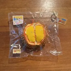 Studio系スクイーズ ドリアン リアルフルーツ パリ袋