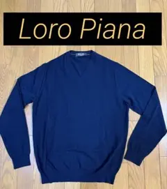 2026年最新】ロロピアーナカシミヤニットの人気アイテム - メルカリ 