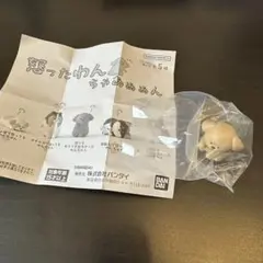 トイプードル カプセルトイ