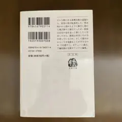 虚像の道化師