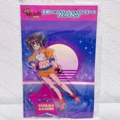 2026年最新】戸山香澄アクリルスタンドの人気アイテム - メルカリ