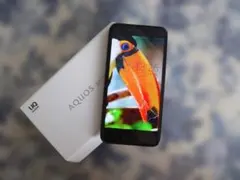 AQUOS sense SHV40 UQ mobileのサムネイル