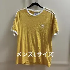 adidas Originals Tシャツ イエロー
