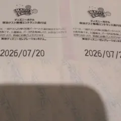 ハッピーエントリー 7/19 1枚 ディズニーシー - メルカリ