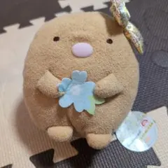 すみっコぐらし ぬいぐるみ とんかつ