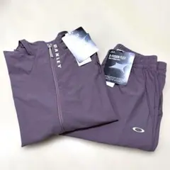 Item thumbnail for item 1ac8fc24-8f1a-42b2-81a9-220721507365