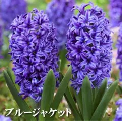 くるりん様 リクエスト 2点 まとめ商品