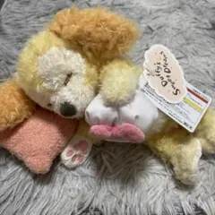 【タグ付き】Duffy’s Sweet Dreams クッキーアン ぬいぐるみ