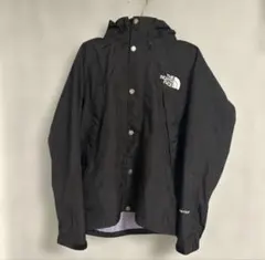 THE NORTH FACE GORE-TEX マウンテンパーカー