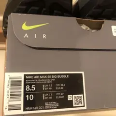 Nike Air Max 95 Big Bubble 8.5