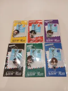 9点セット アクキー お出かけ Snow Man 全種類コンプリートセット