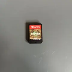 【⚠︎︎箱無し】ゼルダの伝説 ティアーズ オブ ザ キングダム