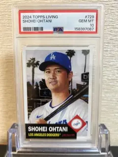ドジャース パヘス 直筆サイン 2024 WS champs ボール PSA - メルカリ