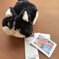 mmtsグシコロコラボアイテム　ばんどぅ肩乗りエコバッグ　猫　マミタスビームス