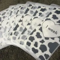 Item thumbnail for item a76462ea-ec65-45c9-9701-e5c1d83eca04