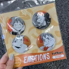 ハイキュー!!　缶バッジ4個セット　EMOTIONS　日向翔陽