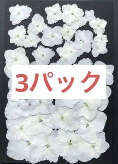 Item thumbnail for item ac7441e3-14aa-4d98-ba0e-691e594752c2