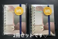 ロフト限定 Rollbahn ロルバーン ミニ 2冊☆カバ