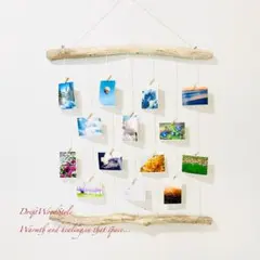 Item thumbnail for item 75655375-470d-487a-bbd1-faca99d27d80