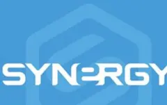 やす様専用❤️