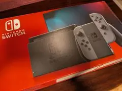 Nintendo Switch 本体 グレー