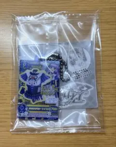 今週末処分【未開封品】アイカツ だれでもアクリルチャーム2 グロウスドロシー