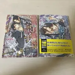 華龍と月龍の皇子 セット
