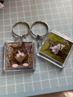 2026 球太thankyouカレンダー