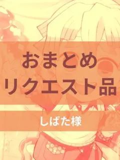 しばた様 リクエスト 2点 まとめ商品