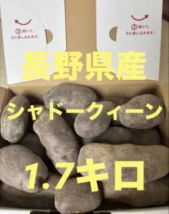 長野県産　シャドークイーン　1.7キロのサムネイル