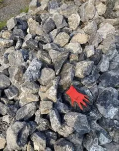 2026年最新】庭石 引き取りの人気アイテム - メルカリ