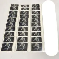 2025年最新】安室透 ぱしゃこれ ハロウィンの花嫁の人気アイテム