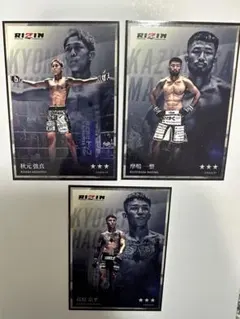 Item thumbnail for item cc048266-a3fa-48bb-ae9f-85b09b6066c9