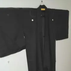 喪服 着物 絽 サマー 黒 紋５個、正絹 美品