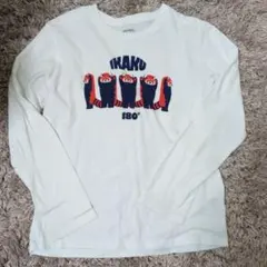 graniph IKAKU 180° 長袖Tシャツ SS レッサーパンダ