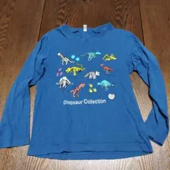 キッズ恐竜コレクション Tシャツ 120