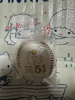 浅野翔吾 しょうり坊 challenge くじ 3等 ボール 1点