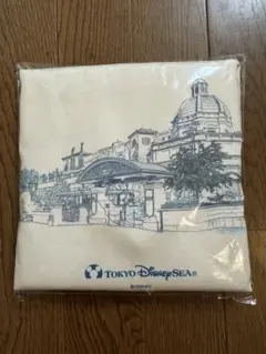 東京ディズニーリゾートオリジナルリバーシブルバッグ 【非売品