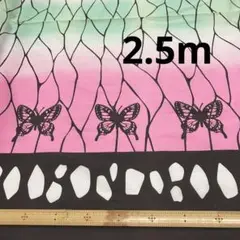 鬼滅の刃 胡蝶しのぶ 衣装柄 生地 タイプ2
