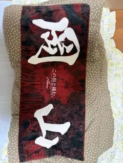 ファジアーノ岡山 タオル