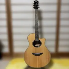 2026年最新】yamaha apx500の人気アイテム - メルカリ