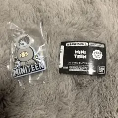 SEVENTEEN miniteen ぷくっとめじるしアクセサリー　ノンバ